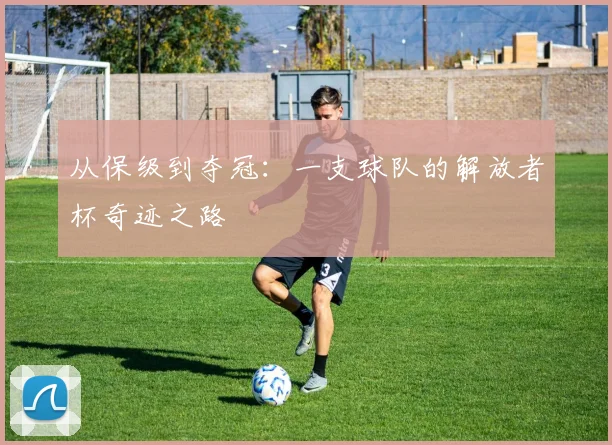 从保级到夺冠：一支球队的解放者杯奇迹之路
