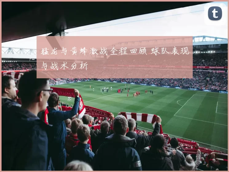 猛龙与黄蜂激战全程回顾 球队表现与战术分析