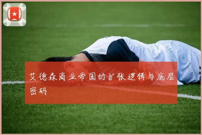 艾德森商业帝国的扩张逻辑与底层密码