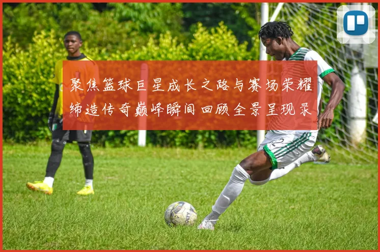 聚焦篮球巨星成长之路与赛场荣耀缔造传奇巅峰瞬间回顾全景呈现录