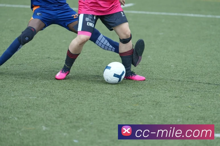 米乐M8平台生态图