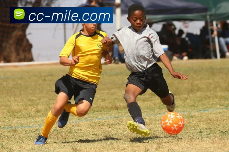 米乐M8APP 体育赛事宣传图